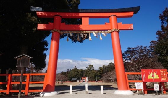 鳥居 しめ縄_紙垂_神社
