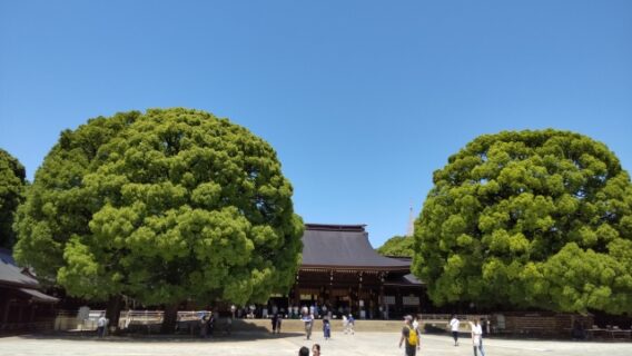 神社　境内　神社庁　風景　参拝