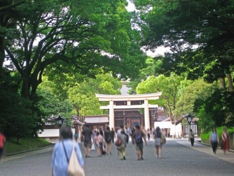 神社　鳥居　参拝
