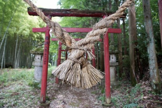 しめ縄　表裏　藁　鳥居