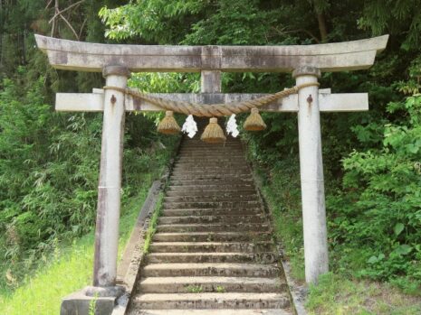取り付け しめ縄 藁 紙垂 神社