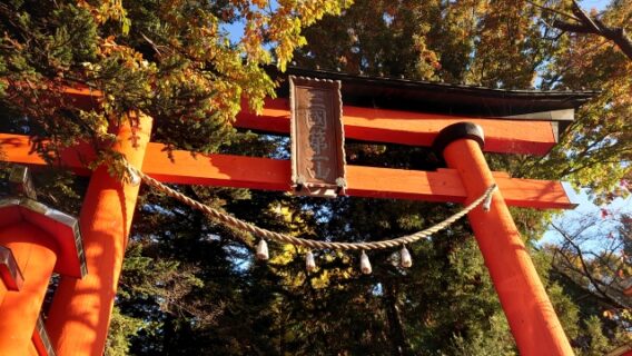 しめ縄 鳥居 神社 紙垂
