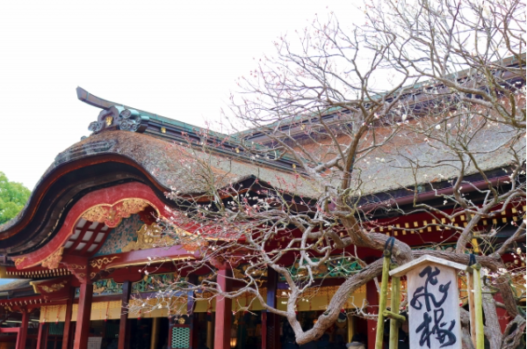 天神信仰　菅原道真　神社　