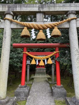 しめ縄 　藁　神社　風景　鳥居　紙垂