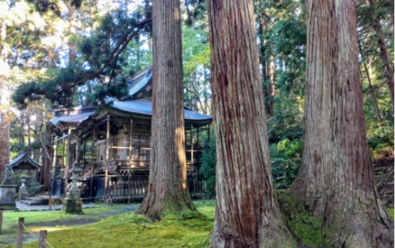 白山信仰 木 神社 参拝