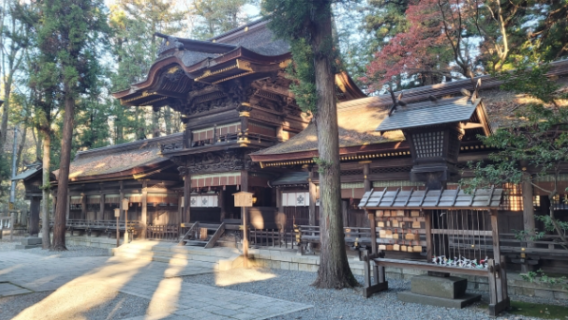 熊野神社 戦国時代 諏訪信仰 神社