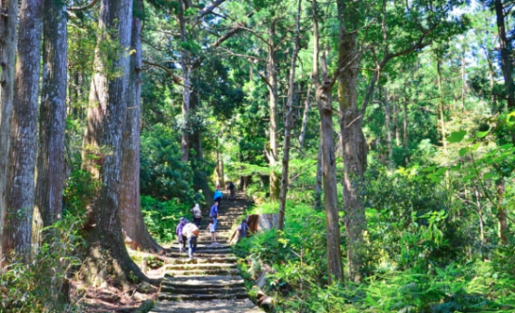 熊野古道 山 神社 階段 風景