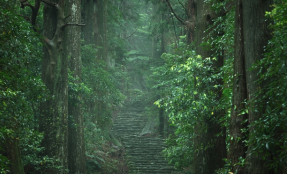 熊野信仰 山 風景