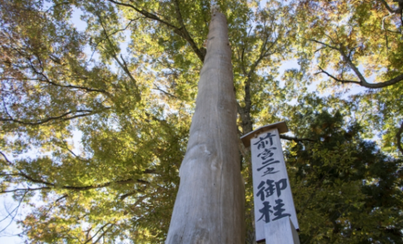 御柱祭 木 参拝 お祭り