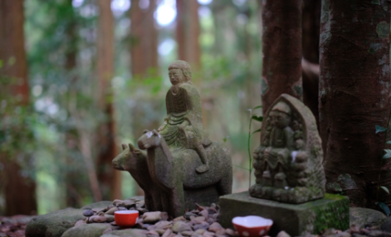 蟻の熊野詣 神社