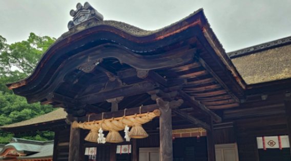 大山祇神社のしめ縄　紙垂　神社　太い　