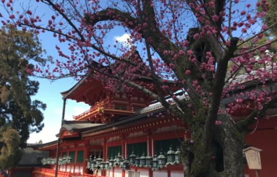 春日大社 春日若宮 神社