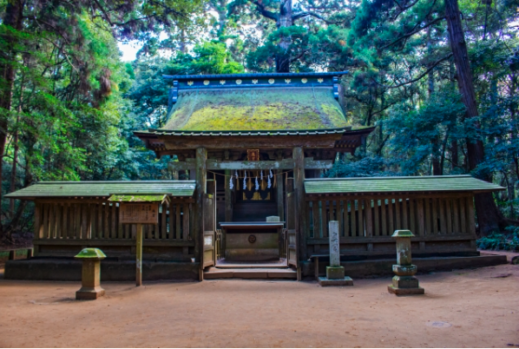徳川家からの厚い信仰がうかがえる社殿 神社 しめ縄 紙垂