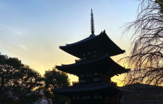 興福寺 神社 寺 風景