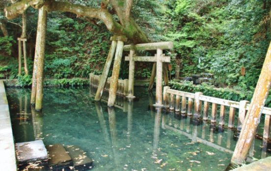 御手洗池 池 鳥居 風景