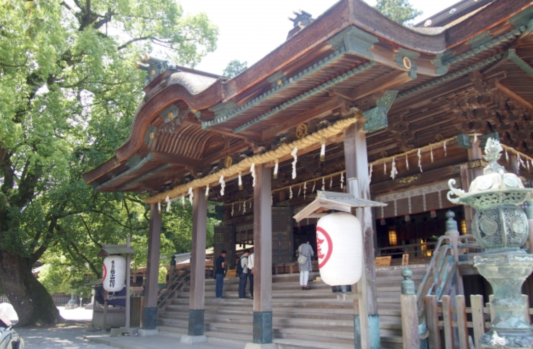 しめ縄_金刀比羅宮大注連縄会_稲藁