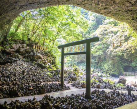 鳥居_森_