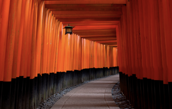 鳥居_京都_赤い理由_