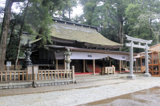 しめ縄_神社_鳥居_