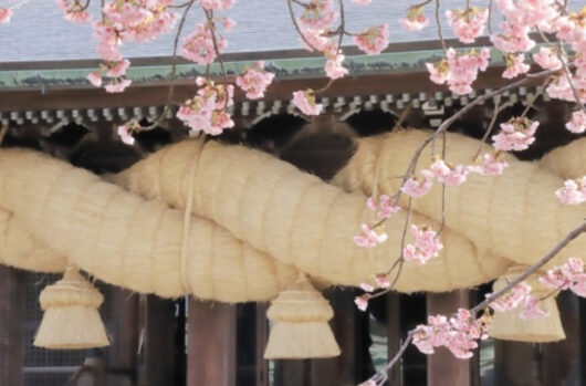 しめ縄_しめ飾り_紙垂_お正月_神社_大きいしめ縄_
