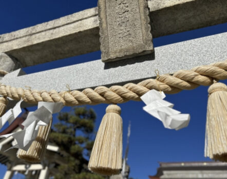 しめ縄_神社_紙垂_鳥居_