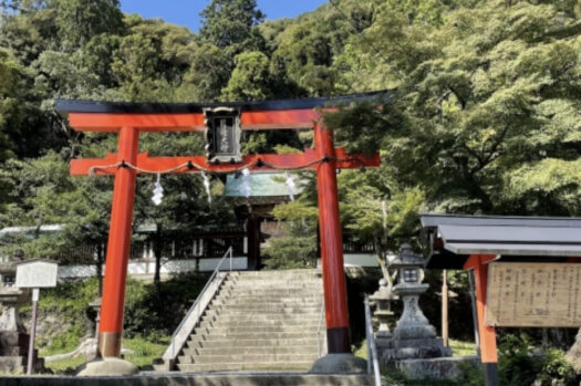 神社_鳥居_門_