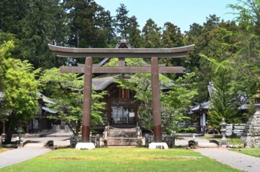 イノシシ_護王神社