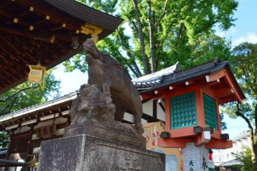 イノシシ_護王神社