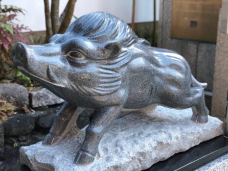 イノシシ_摩利支天徳大寺
