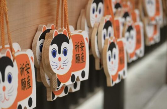 服装_持ち物_付き添い_よくある疑問