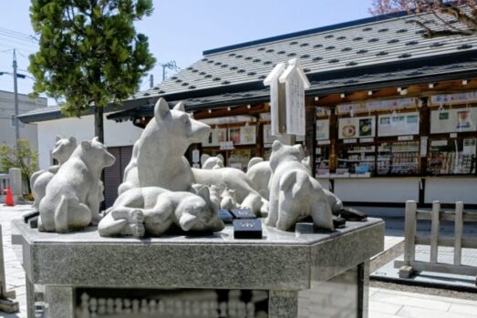 安産祈願_戌の日_時期_考え方