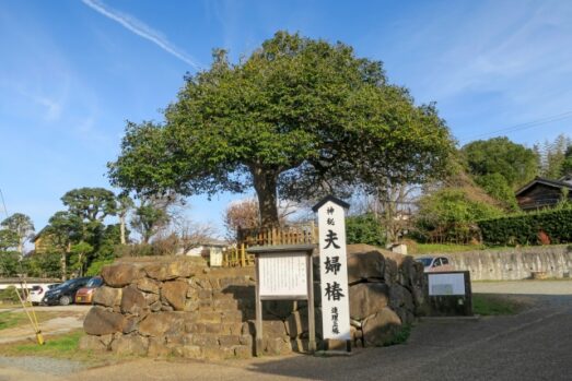 縁結び祈願_恋愛_ご縁_祈り