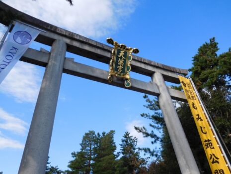 学業成就祈願_いつ行く_タイミング