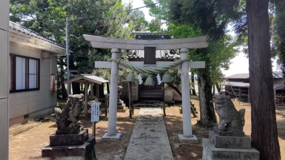 鳥居用しめ縄 No.150|富山県射水市の折橋商店(創業明治43年)が製造する大型しめ縄