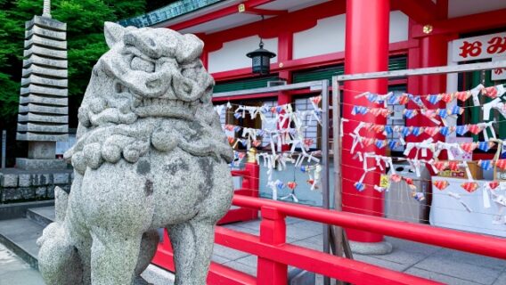 神社　狛犬　風景