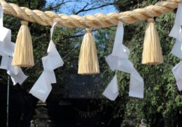 しめ縄　交換　神社　紙垂
