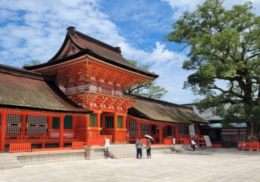 紙垂 　神社　境内　参拝