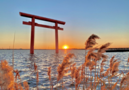 鹿島神宮の例祭　鳥居　海　風景　