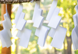 紙垂_紙垂の由来_神社の白い紙