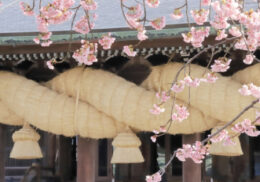 しめ縄_大きいしめ縄_神社_藁