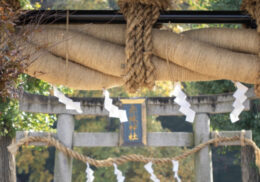 しめ縄_神社_紙垂_鳥居_