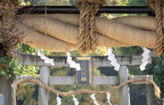 しめ縄_神社_紙垂_鳥居_
