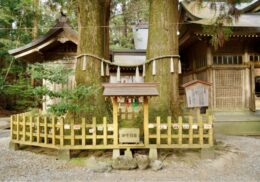 しめ縄_歴史_「変容」に関する象徴的な意味