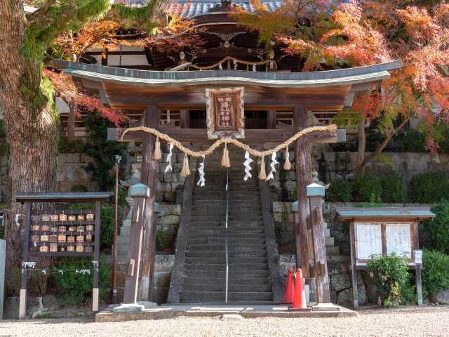 しめ縄の基礎知識や購入時のポイント