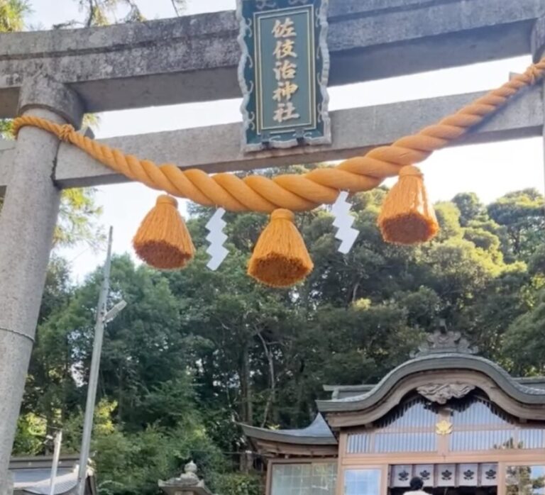 しめ縄の劣化を防ぐ防虫仕様の特徴とは