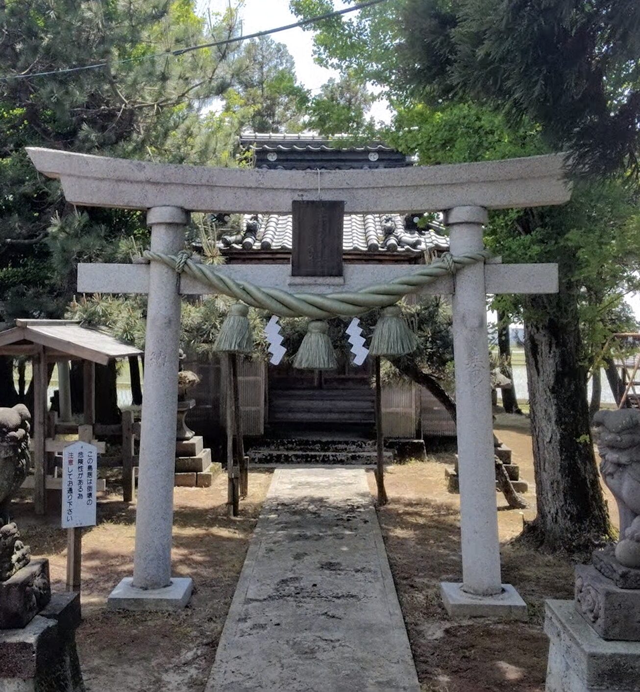 雅　鼓胴型