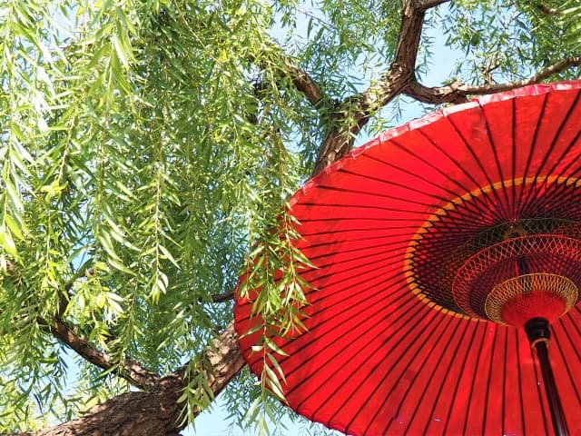 演出アイディア！イベント会場を盛り上げるしめ縄活用術